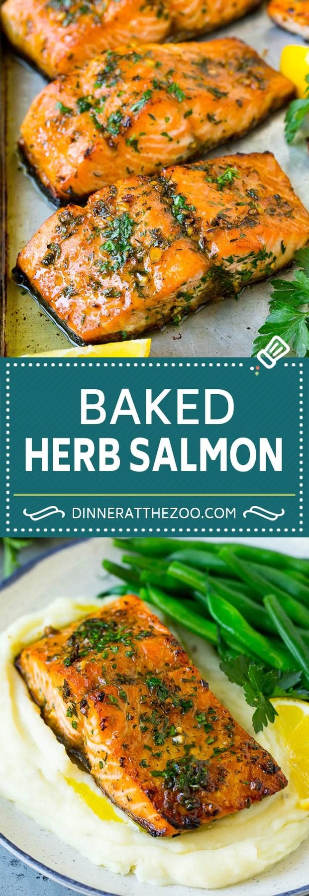 Baked Salmon Recipe | Garlic Salmon | Roasted Salmon #salmon #seafood #fish #dinner #dinneratthezoo