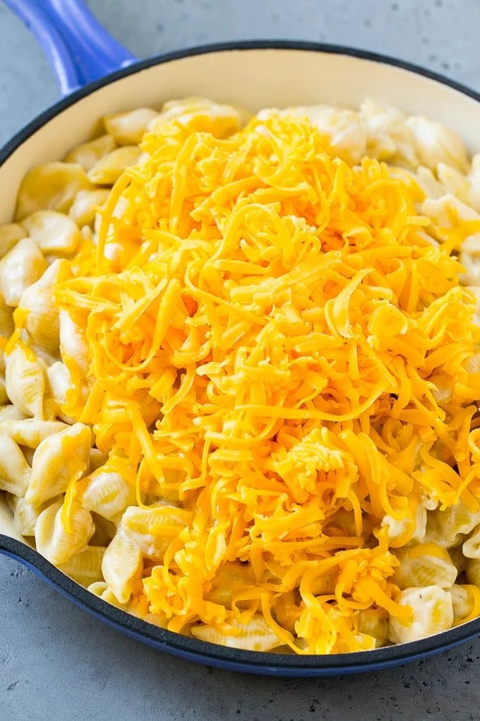 Creamy shell pasta topped with a pile of shredded cheddar cheese.