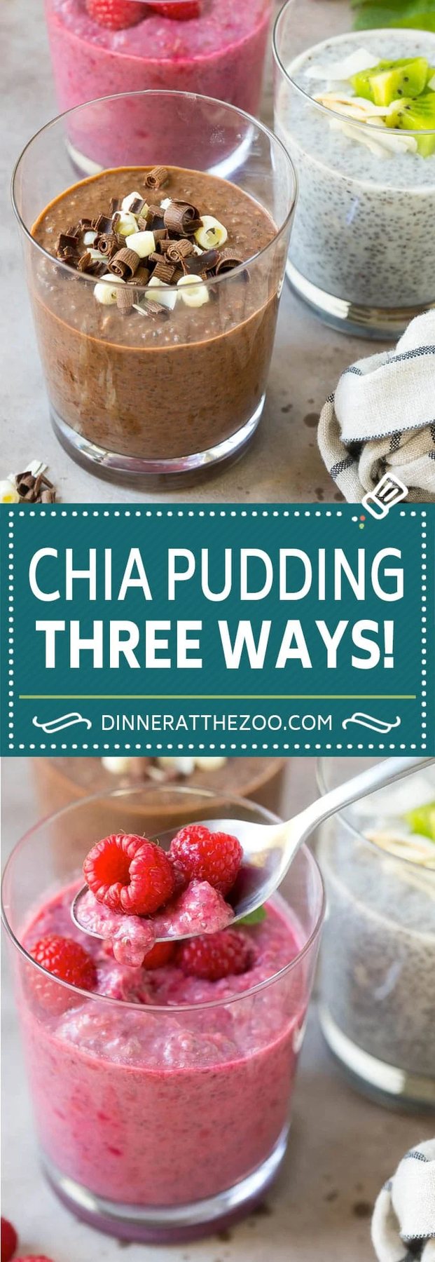 Chia Pudding Recipe | Chocolate Chia Pudding | Coconut Chia Pudding | Raspberry Chia Pudding #chia #pudding #breakfast #dessert #vegan #glutenfree #dairyfree #dinneratthezoo