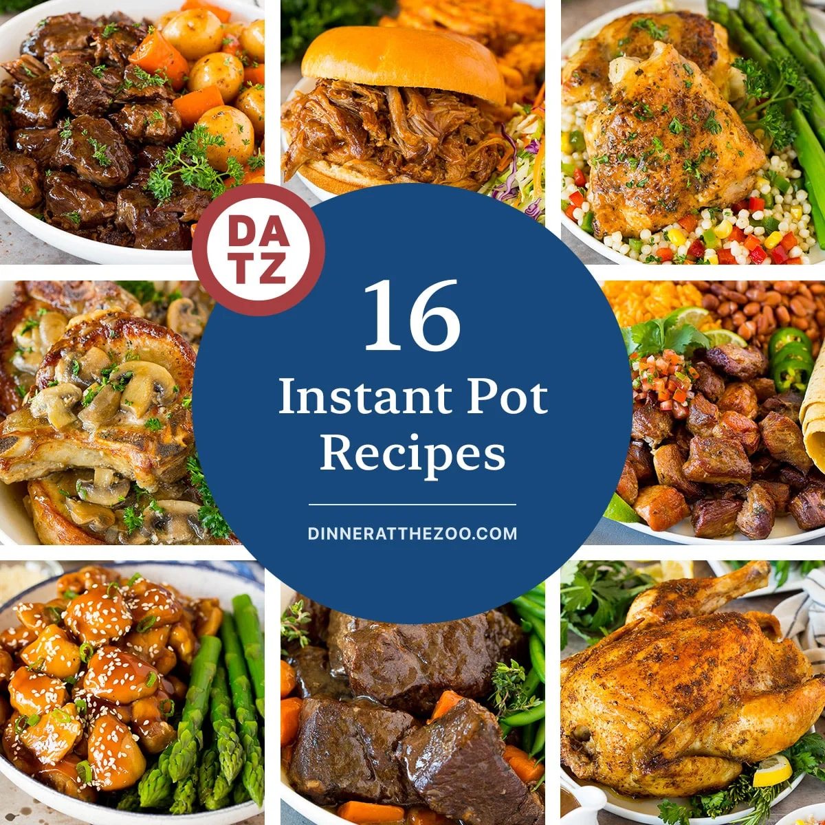 A group of quick and straightforward Instant Pot recipes for any occasion like pot roast, pork chops and chicken thighs.