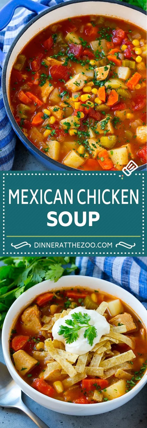 Mexican Chicken Soup | Chicken and Vegetable Soup | Chicken and Potato Soup #chicken #soup #chickensoup #mexican #healthy #dinner #dinneratthezoo