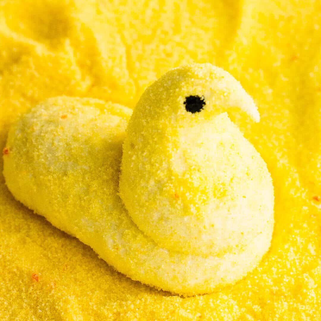 Homemade Peeps