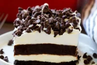 Creamy No-Bake Chocolate Delight
