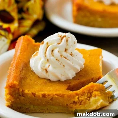 A piece of pumpkin gooey butter cake with a fork in it, highlighting its rich and moist texture.