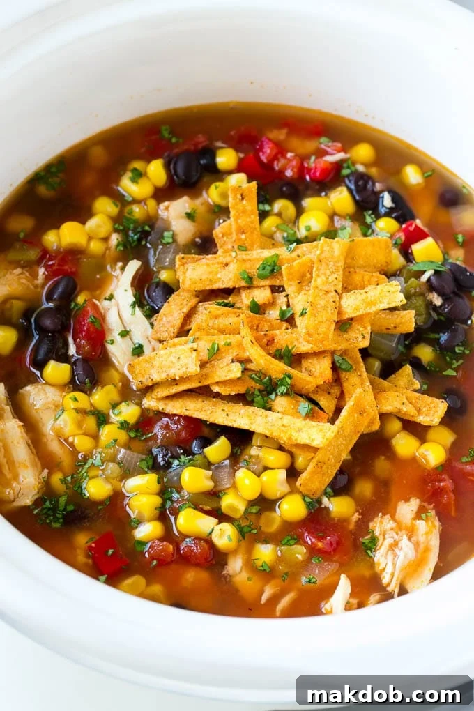 A slow cooker of chicken tortilla soup topped with tortilla strips.
