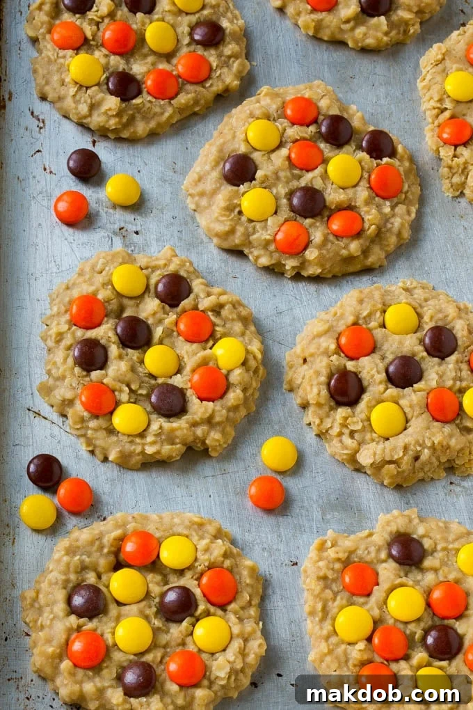 Homemade No-Bake Peanut Butter Cookies with Candy Toppings A full sheet pan laden with a fresh batch of no-bake peanut butter cookies, each generously topped with colorful candies, ready to be cooled and enjoyed.