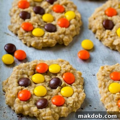 A sheet pan filled with golden no-bake peanut butter cookies, each adorned with colorful candies.