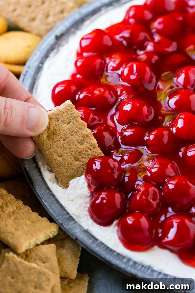 A graham cracker scooping up a serving of cherry cheesecake dip.