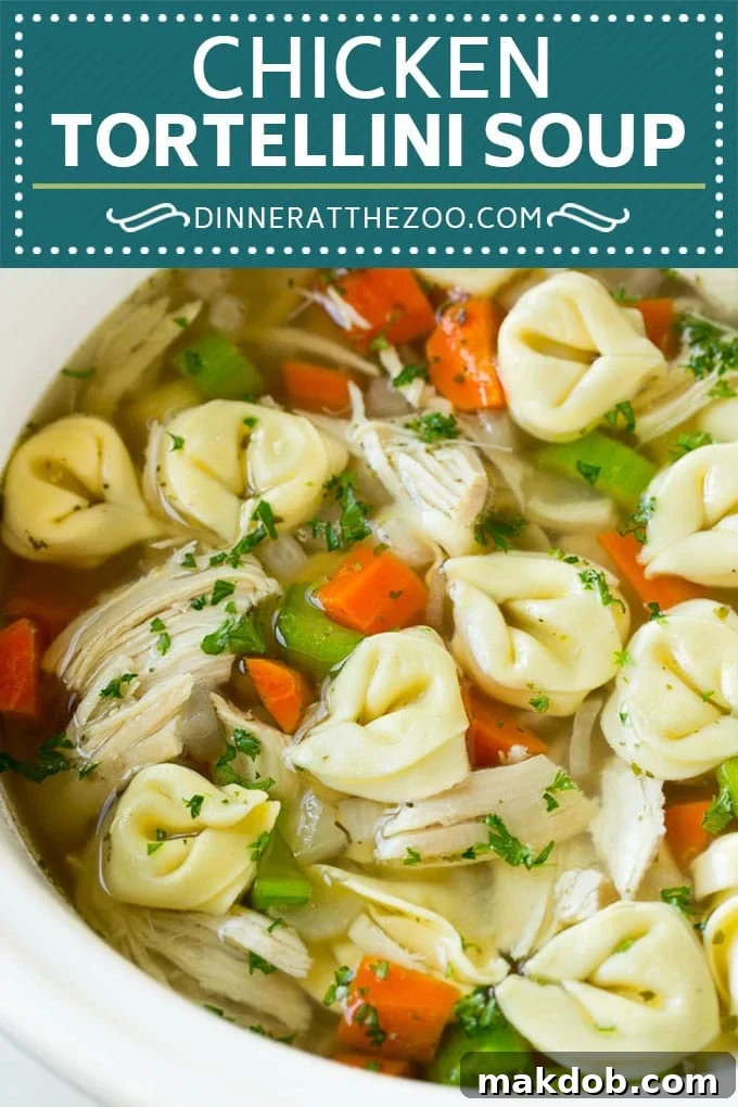 Close-up of Slow Cooker Chicken Tortellini Soup, showing tender chicken, vibrant vegetables, and cheesy tortellini. #soup #chicken #pasta #tortellini #slowcooker #crockpot #dinner #dinneratthezoo