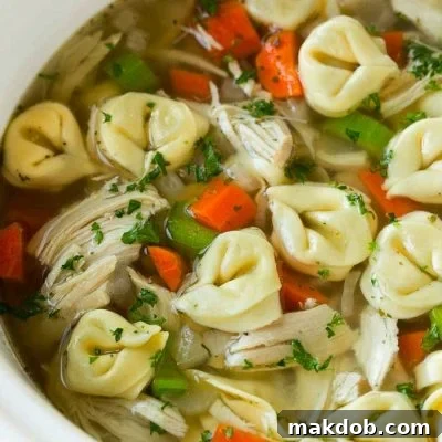 A slow cooker full of chicken tortellini soup.