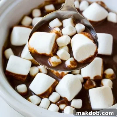 A ladle full of slow cooker hot chocolate topped with marshmallows.