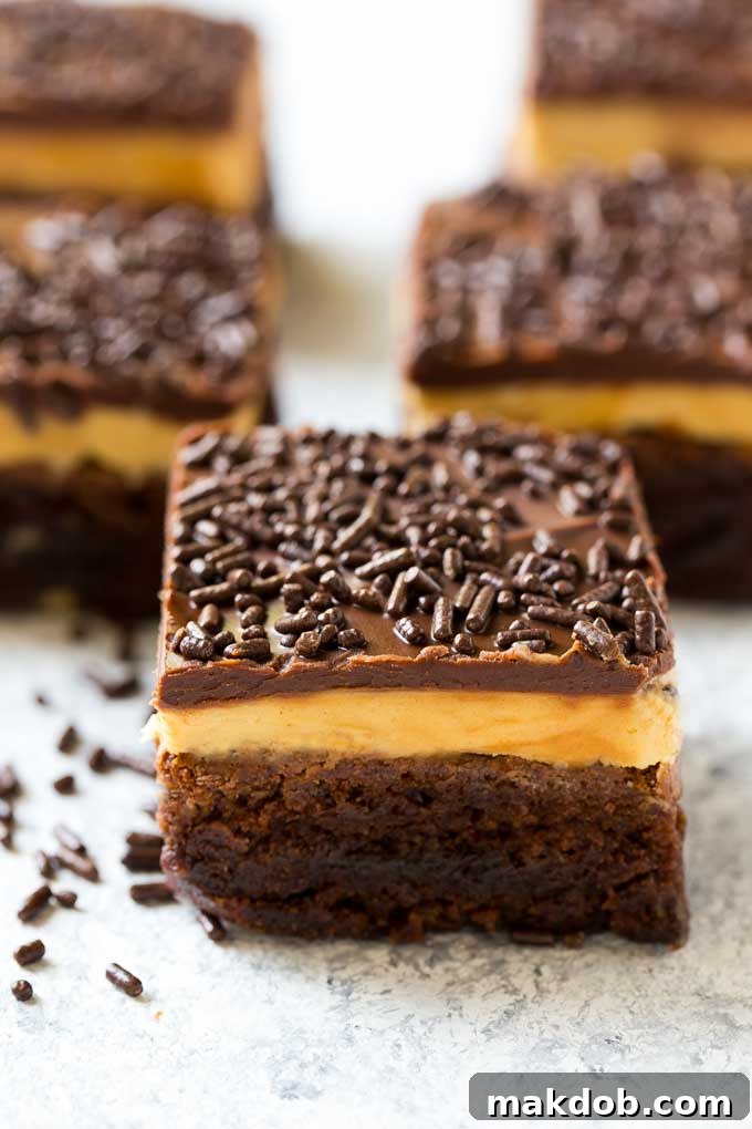 Peanut Butter Brownies Recipe | Layered Brownies | Peanut Butter Truffle Brownies #brownies #chocolate #peanutbutter #dessert #dinneratthezoo These peanut butter brownies are easy to make but look like they came from a fancy bakery.