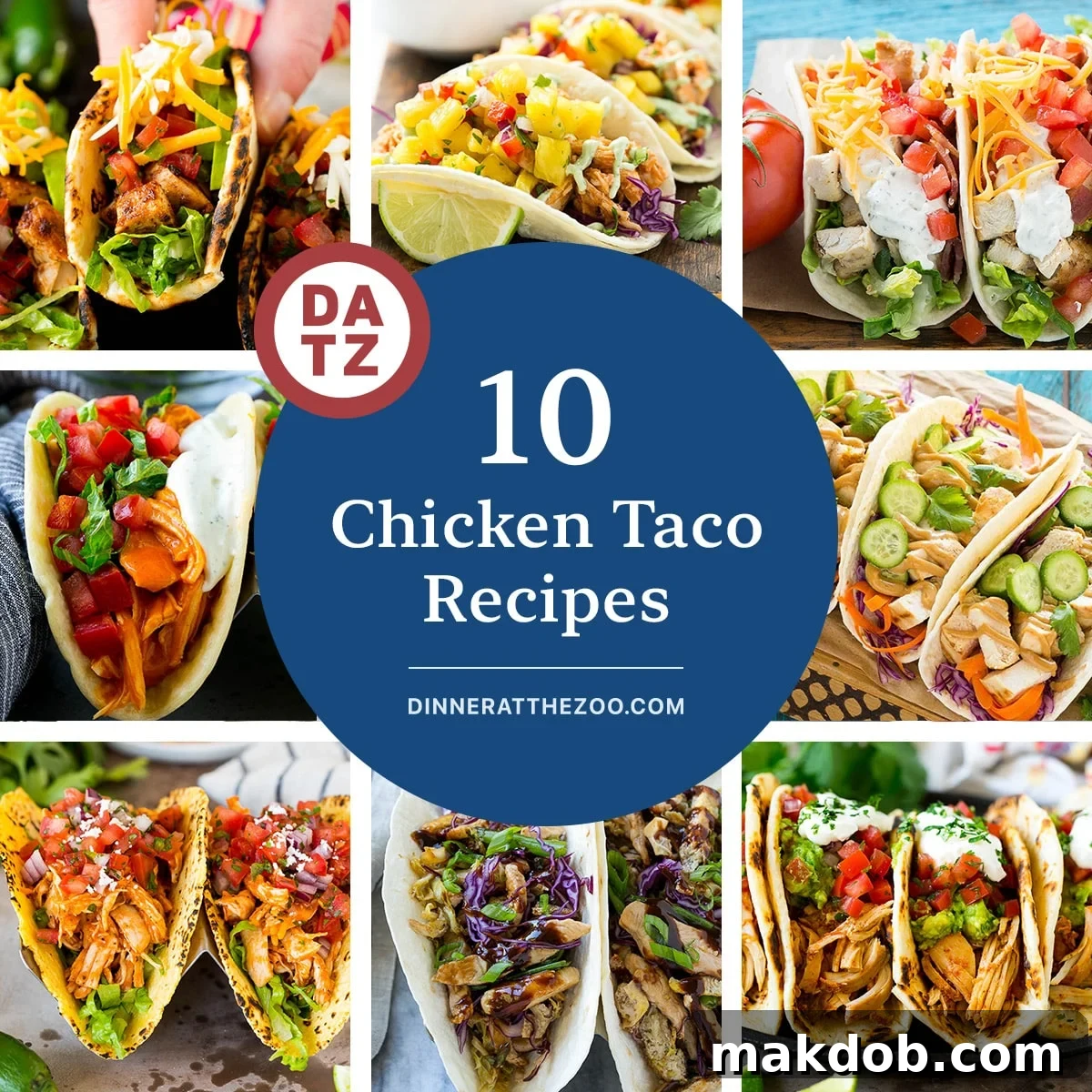 A vibrant collection of delicious chicken taco recipes, showcasing varieties like chicken ranch tacos, slow cooker chicken tacos, and innovative taco pinwheels, perfect for any taco night.