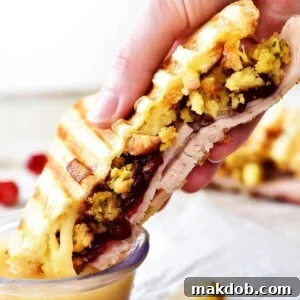 An image of a pressed sandwich with turkey, cranberry and stuffing.