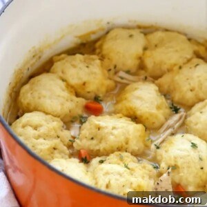 30 Creative Ways to Reinvent Leftover Turkey 13 An image of turkey and dumplings in a pot.