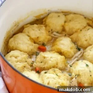 An image of turkey and dumplings in a pot.