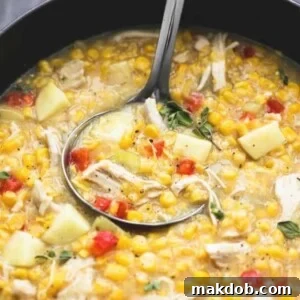 An image of a ladle in a pot of turkey corn chowder.