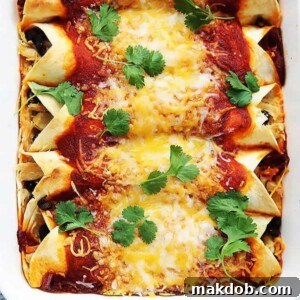 30 Creative Ways to Reinvent Leftover Turkey 25 An image of turkey enchiladas side by side in a baking dish.