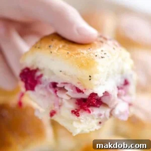 30 Creative Ways to Reinvent Leftover Turkey 4 An image of a turkey baked slider held by a hand.