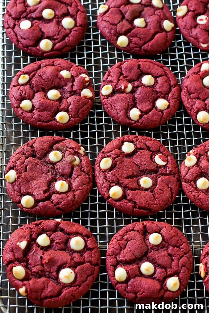 Red Velvet Cookies Recipe | Red Velvet Cookies with White Chocolate Chips | Red Velvet Cake Mix Cookies #redvelvet #cookies #whitechocolate #christmas #dinneratthezoo Baked red velvet cookies cooling on a wire rack, showing their perfectly set edges.