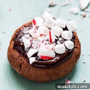 A plate of delightful Hot Chocolate Meltaway Cookies, generously topped with chocolate ganache, mini marshmallows, and festive crushed peppermint sticks, capturing the essence of hot chocolate in a cookie.