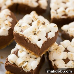Decadent S'mores fudge with a crunchy graham cracker crust, smooth chocolate filling, and perfectly toasted marshmallows on top.