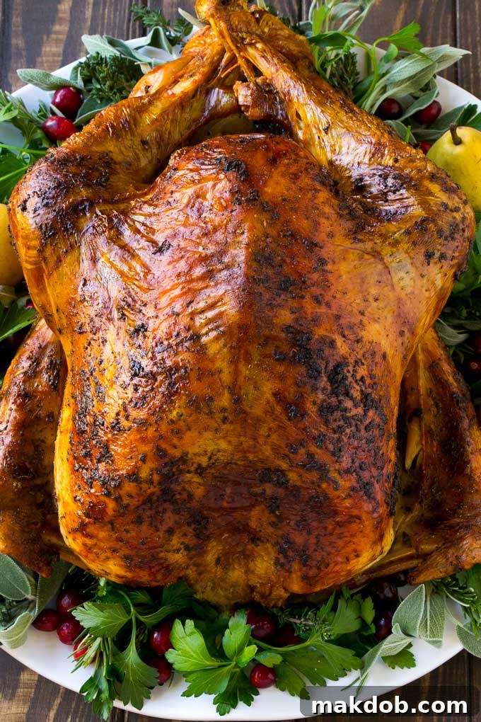 Close-up of an herb roasted turkey, covered in a golden-brown butter and seasoning crust, highlighting its inviting perfection.