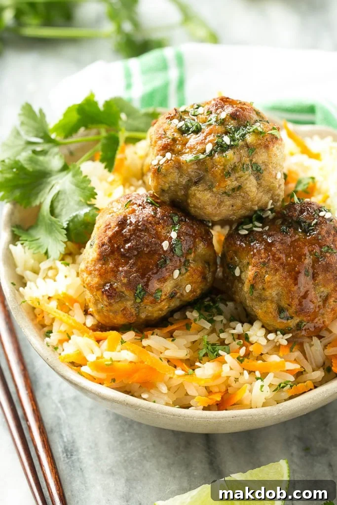 Aromatic Asian Meatballs and Carrot Rice 3 This recipe for Asian turkey meatballs features light, tender meatballs seasoned with authentic Asian flavors, coated in a sweet and savory honey garlic sauce, and served over a vibrant carrot rice. It's the perfect quick, easy, and healthy weeknight meal for the whole family.