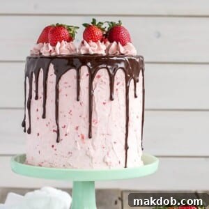 An image of a whole chocolate strawberry cake on a platter.