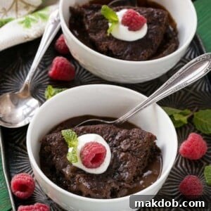 A quick and easy chocolate pudding cake that also happens to be low fat.