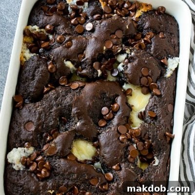 Earthquake cake is a gooey delight loaded with chocolate, pecans and coconut.