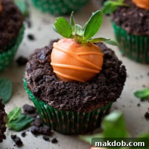 An image of a carrot patch cupcake.