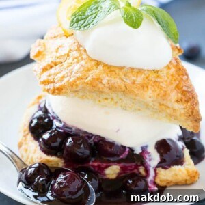 This recipe for blueberry shortcake is vanilla ice cream and homemade blueberry sauce sandwiched between lemon shortcake and finished off with whipped cream. This easy and elegant dessert is perfect for any occasion!