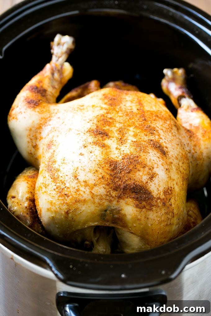 Slow Cooker Whole Chicken | Slow Cooker Rotisserie Chicken | Crock Pot Roasted Chicken | Crock Pot Whole Chicken #chicken #slowcooker #crockpot #glutenfree #dinner #dinneratthezoo A fully cooked, tender whole chicken resting in the slow cooker, ready to be transferred for crisping.