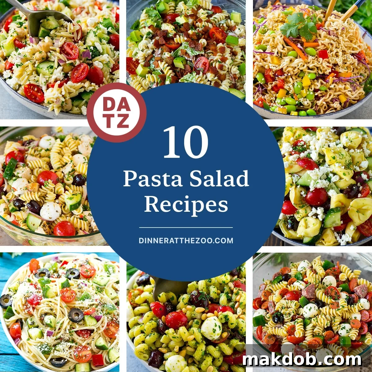 Irresistible Pasta Salad Creations 2 A collection of vibrant pasta salad recipes, including spaghetti salad, classic Italian pasta salad, and an exciting Asian noodle salad, showcasing diverse culinary inspirations.