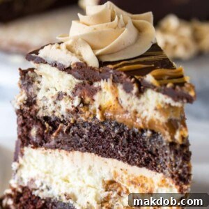 A picture of a slice of Reeces Peanut Butter Chocolate Cheesecake.
