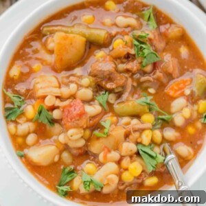 A robust bowl of beef and vegetable soup, showcasing a medley of healthy ingredients.