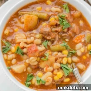 A robust bowl of slow cooker beef and vegetable soup, showcasing tender beef and a colorful array of wholesome vegetables.