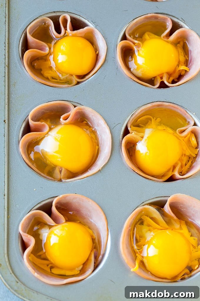 Assembling Ham and Egg Cups | Cheese and Egg Layer Ham pressed into muffin tins and topped with eggs and cheese, ready for baking into delicious breakfast cups.