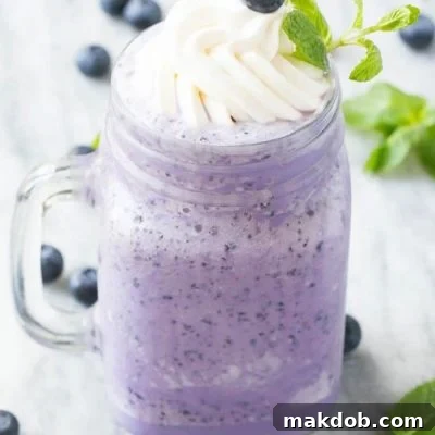 Thumbnail of a healthy blueberry milkshake