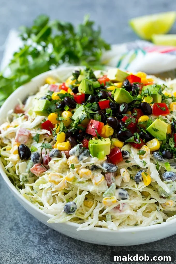 Mexican Coleslaw Recipe | Southwestern Coleslaw | Easy Coleslaw #coleslaw #mexicanfood #salad #dinneratthezoo A bowl of Mexican coleslaw topped with black beans, corn, red peppers and avocado.