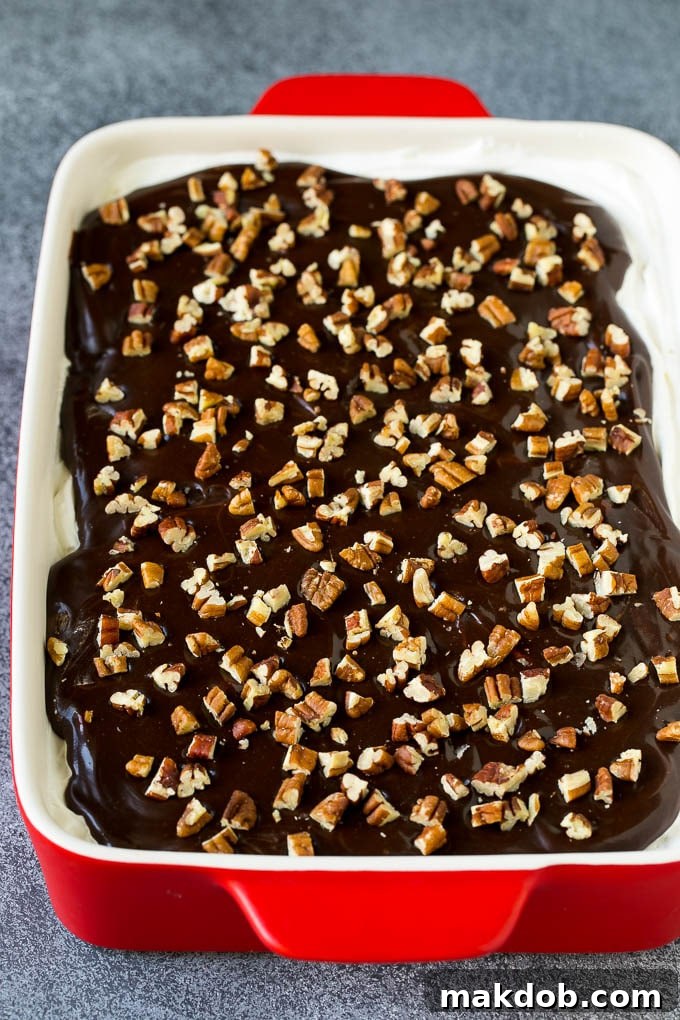 Banana Split Cake Recipe | No Bake Cake | Banana Split Dessert #banana #chocolate #nobake #cake #cheesecake #dinneratthezoo A banana split cake topped with chocolate sauce and pecans.