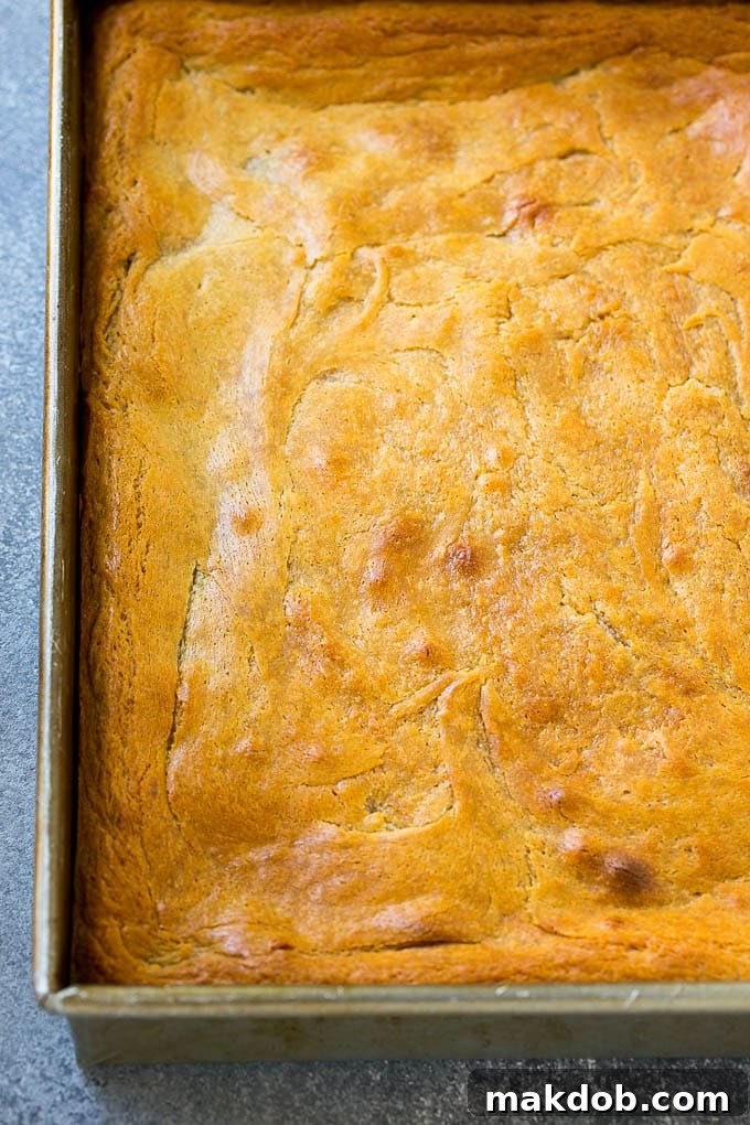 A peanut butter chocolate gooey butter cake in a baking pan.