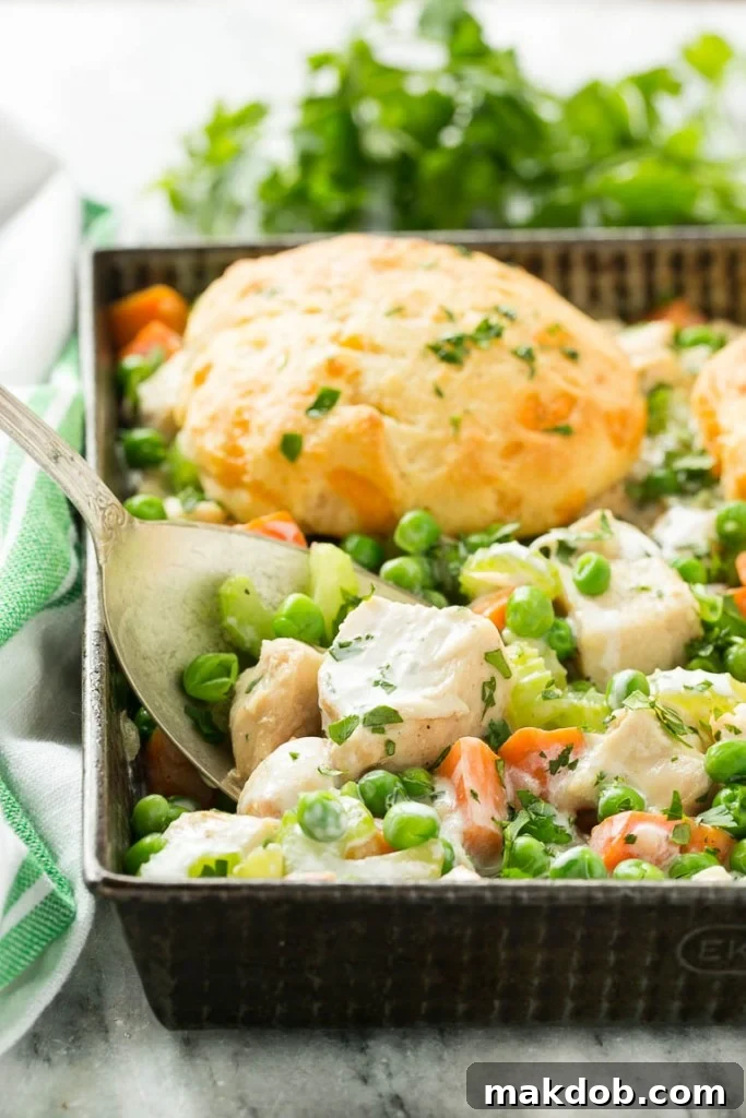 Savory Chicken & Biscuit Bake 2 This recipe for biscuit chicken pot pie features a creamy filling of seasoned chicken, vegetables, and herbs, topped with cheesy, flaky cheddar biscuits and baked to golden perfection.