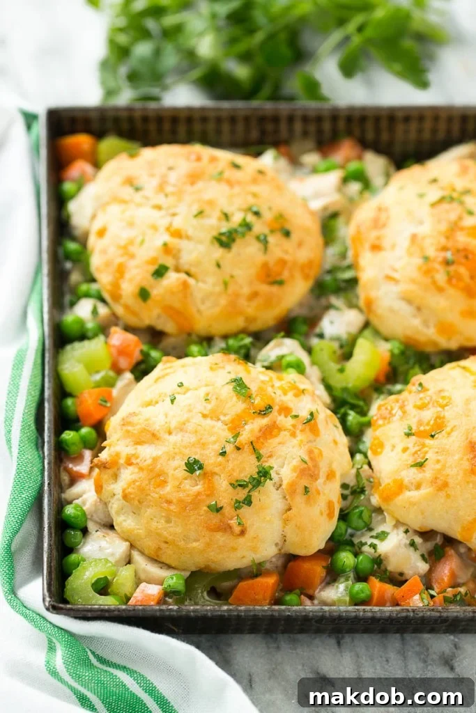 Savory Chicken & Biscuit Bake 3 This recipe for biscuit chicken pot pie features a creamy filling of seasoned chicken, vegetables, and herbs, topped with cheesy, flaky cheddar biscuits and baked to golden perfection.