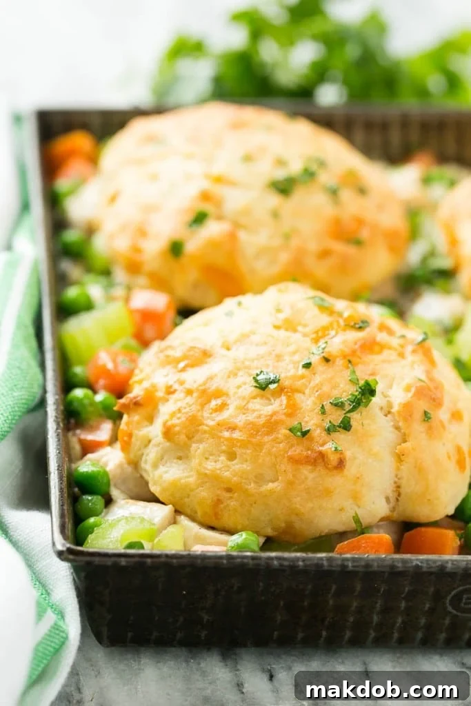 Savory Chicken & Biscuit Bake 4 This recipe for biscuit chicken pot pie is a creamy mixture of seasoned chicken, vegetables and herbs that's been topped with flaky cheddar biscuits and baked to perfection.