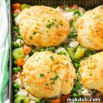 Savory Chicken & Biscuit Bake 5 This recipe for biscuit chicken pot pie is a creamy mixture of seasoned chicken, vegetables and herbs that's been topped with flaky cheddar biscuits and baked to perfection.