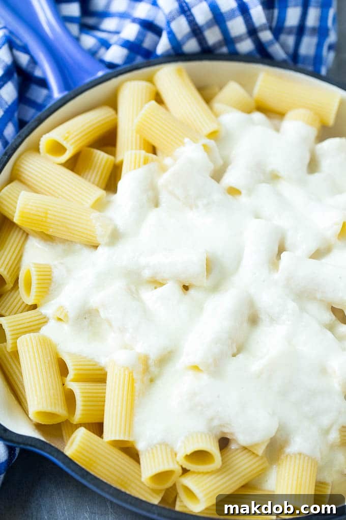 Rigatoni pasta with a creamy provolone sauce.