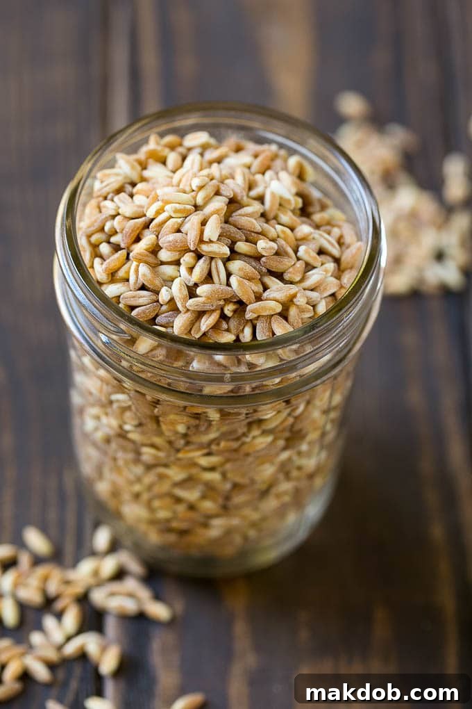 Farro Salad Recipe | Healthy Salad #salad #healthy #cleaneating #farro #dinner #dinneratthezoo Dry farro in a jar.