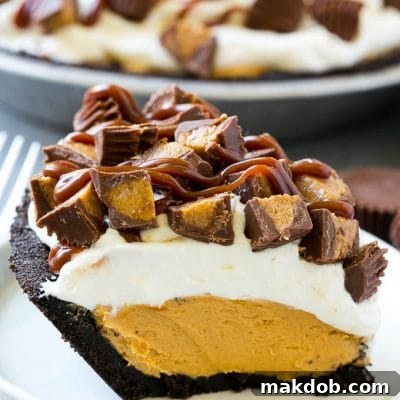 A slice of chocolate peanut butter pie topped with whipped cream, chocolate sauce and peanut butter cups.